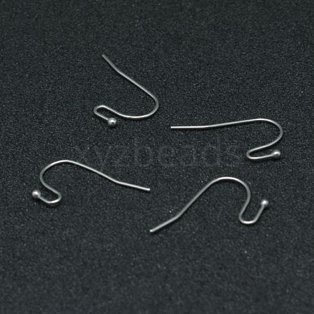 Tarnish Resistant 304 Stainless Steel Earring Hooks STAS-G140-73P-1