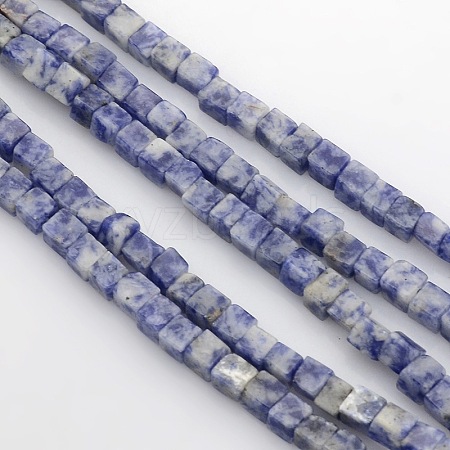 Cube Natural Blue Spot Jasper Beads Strands G-P057-05-1