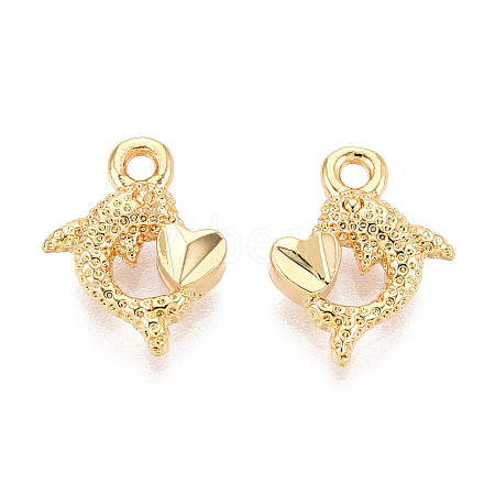 Brass Charms KK-N263-119D-G-1