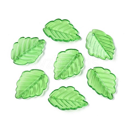 Transparent Acrylic Pendants OACR-CJC0006-25B-1