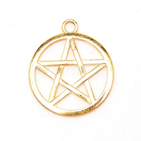 Zinc Alloy Pendants PALLOY-WH0088-60C-G-1