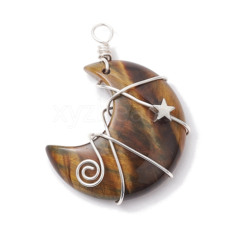 Natural Tiger Eye Copper Wire Wrapped Pendants PALLOY-JF02686-01-1