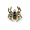 Halloween Tibetan Style Alloy Pendants FIND-WH0105-12AB-2