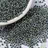 MIYUKI Round Rocailles Beads SEED-G008-RR3201-1