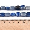 Natural Blue Aventurine Beads Strands G-T138-102-5