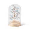 Natural Aquamarine Chips Money Tree in Dome Glass Bell Jars with Wood Base Display Decorations DJEW-B007-04C-1