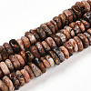 Natural Brecciated Jasper Beads Strands G-T141-28-4