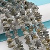 Natural Labradorite Chip Bead Strands G-M205-13-6