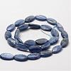 Oval Natural Kyanite/Cyanite/Disthene Bead Strands G-O139-01H-2