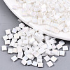 200Pcs 2 Styles 2-Hole Glass Seed Beads SEED-HS0001-08-1