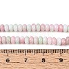 Ombre Effect Dyed Glass Beads Strands GLAA-T030-07A-02-4