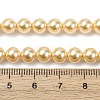 Electroplated Shell Pearl Beads Strands BSHE-G041-6mm-01-4