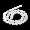 Natural Trochus Shell Beads Strands X-BSHE-P033-07-5