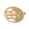 304 Stainless Steel Pendants STAS-V016-06G-2