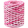 Segment Dyed Raffia Paper Cords for DIY Craft OCOR-WH20020-27A-7
