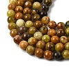 Natural Green Opal Beads Strands G-K245-A17-A05-01-3