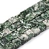 Natural Green Spot Jasper Beads Strands G-T139-8x8-23A-4