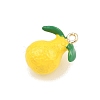 Fruit Alloy Enamel Pendants ENAM-P264-02F-G-3
