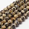 Natural Dalmatian Jasper Beads Strands G-D840-49-8mm-1