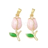 Brass Enamel Pendants KK-I371-33G-03-1