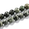 Natural Green Zebra Jasper Beads Strands G-L574-05B-1