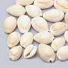 Cowrie Shell Beads X-SSHEL-T004-08-1
