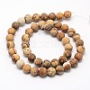 Natural Picture Jasper Beads Strands X-G-D686-8mm-2