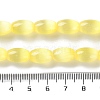 Macaron Color Natural Selenite Beads Strands G-B102-A01-03-4