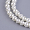 Eco-Friendly Dyed Glass Pearl Bead Strands X-HY-A008-6mm-RB002-3