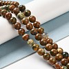 Natural Rhyolite Jasper Bead Strands G-G684-01-8mm-7