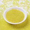 MIYUKI Round Rocailles Beads X-SEED-G007-RR0252-2