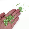 8/0 Czech Opaque Glass Seed Beads SEED-N004-003A-04-5