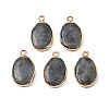 Natural Labradorite Pendants G-N326-130-05-1