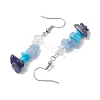 Natural Mixed Stone & Synthetic Turquoise Dangle Earrings EJEW-JE06030-5