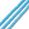 Faceted(32 Facets) Glass Beads Strands EGLA-J042-36A-04-1