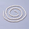 Shell Beads Strands G-F619-27-3mm-2