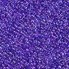 11/0 Grade A Round Glass Seed Beads SEED-N001-E-445-2