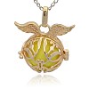 Golden Tone Brass Cage Pendants KK-J213-12G-2