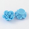 Resin Beads RESI-B3244-A129-1