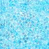 Spray Painted Glass Seed Beads SEED-T007-08B-2