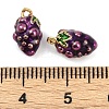 Brass Enamel Charms KK-L231-21G-06-3