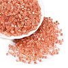 6/0 Transparent Inside Colours Glass Seed Beads SEED-N006-003G-1