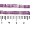 Natural Lepidolite/Purple Mica Stone Beads Strands G-NH0001-F04-01-5