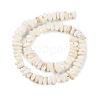 Natural Anomaly Freshwater Shell Beads Strands BSHE-S304-05C-2