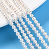 Natural Nucleated Pearl Beads Strands PEAR-N016-03B-2