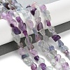 Natural Colorful Fluorite Beads Strands G-P497-01C-18-2