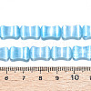 Dyed Natural Selenite Beads Strands G-T138-234D-4