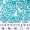 6/0 Baking Paint Glass Round Seed Beads SEED-S036-01C-13-3