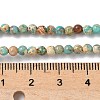 Dyed Natural Regalite/Imperial Jasper/Sea Sediment Jasper Beads Strands G-B124-C05-06-2