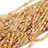 Natural Botswana Agate Round Beads Strands G-P115-02-3